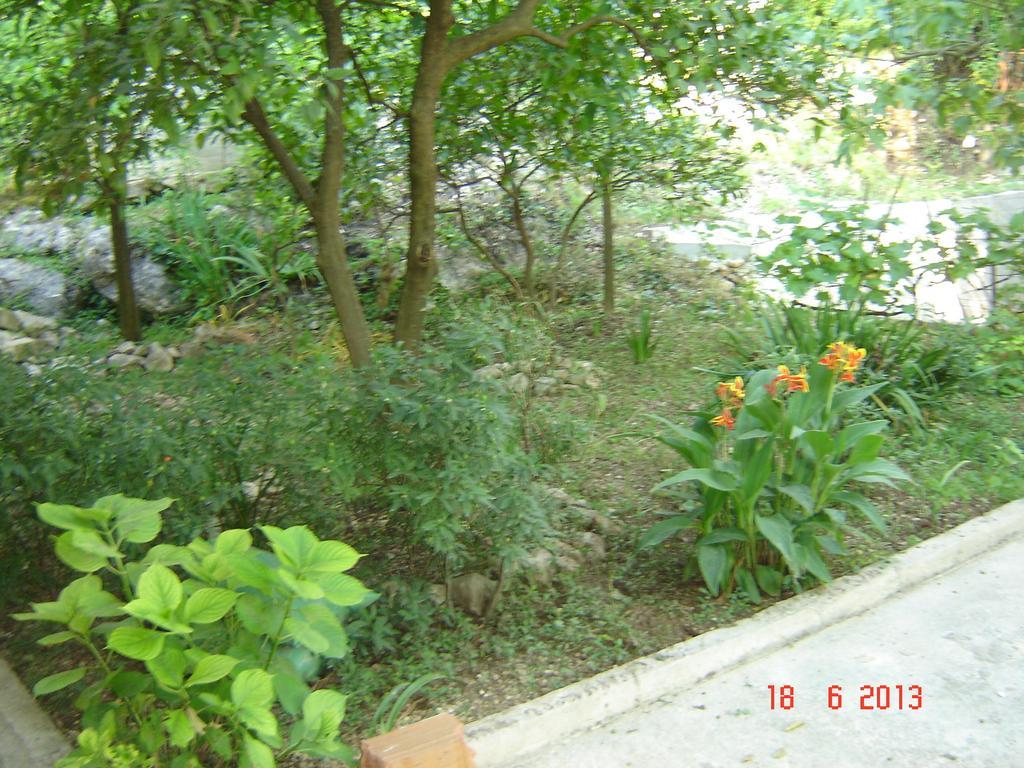 Apartments Dobrisa كوتور المظهر الخارجي الصورة